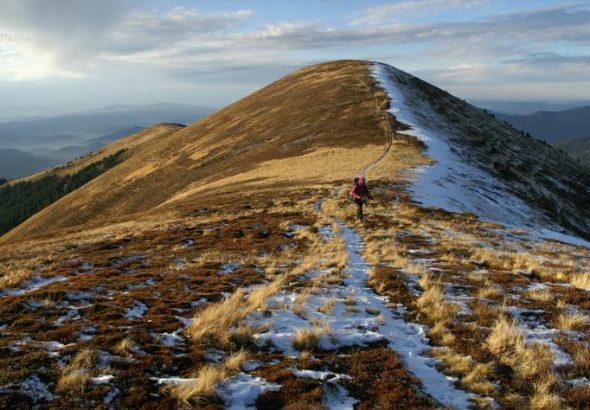 Негровець – таємнича перлина Закарпаття, яку варто відкрити