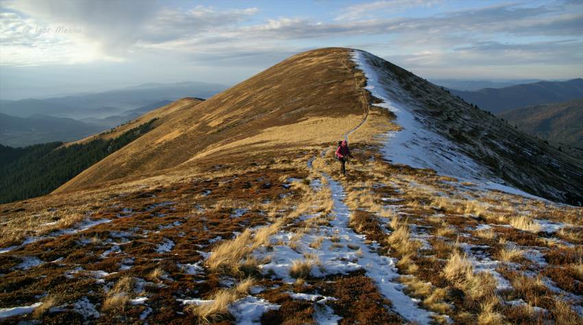 Негровець – таємнича перлина Закарпаття, яку варто відкрити
