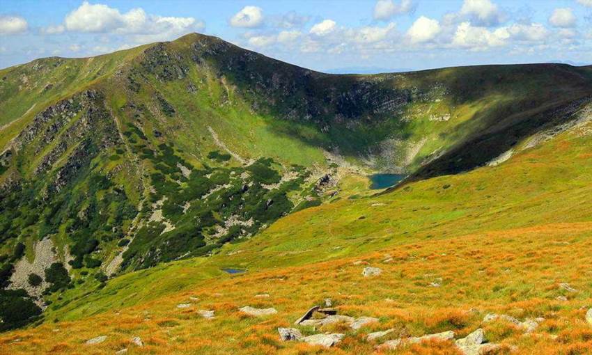 Гутин Томнатик