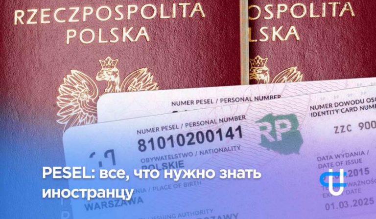 Як вибрати ідеальний песель для української родини у 2026 році