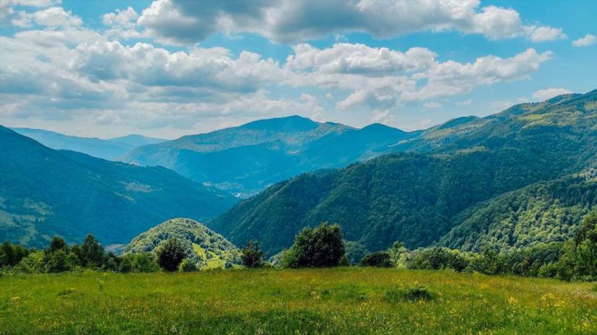 Рахів