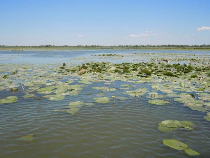 Водні перлини Одеського краю
