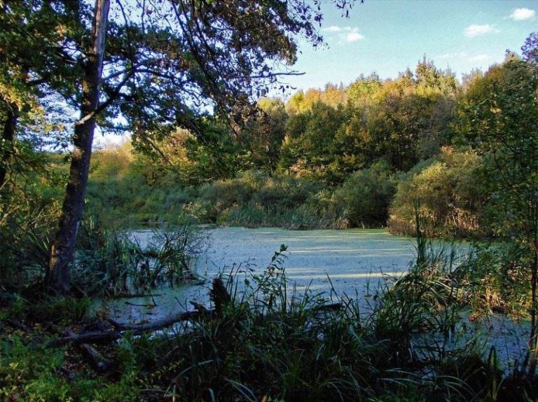 Головні водосховища та природні озера Кіровоградщини