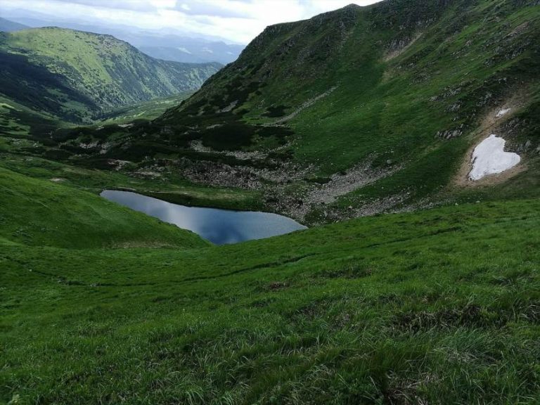 Бребенескул