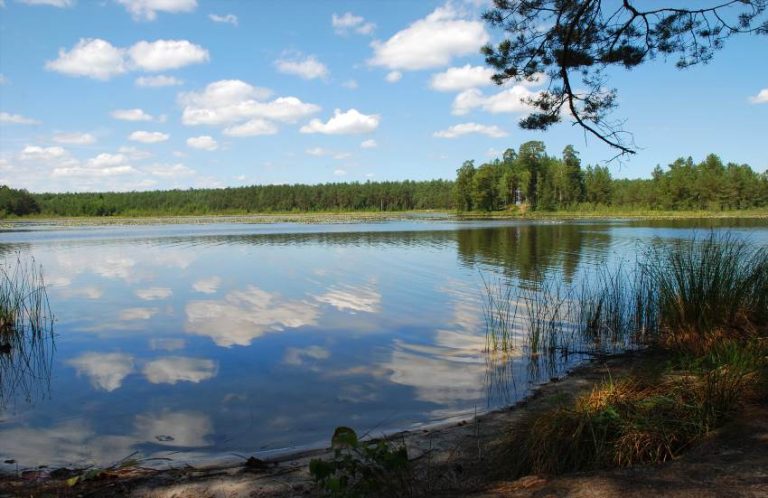 Річки та озера Хмельницької області